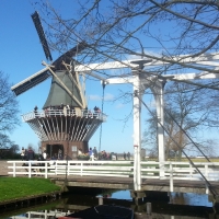 Keukenhof 2014