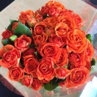 Predstavujeme: kyticu oranžových ruží