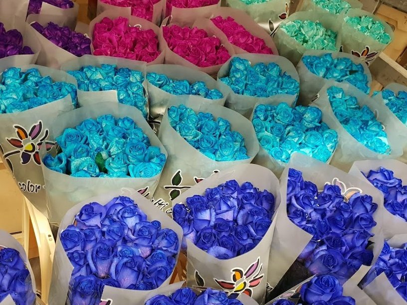 Predstavujeme: kytica modrých ruží